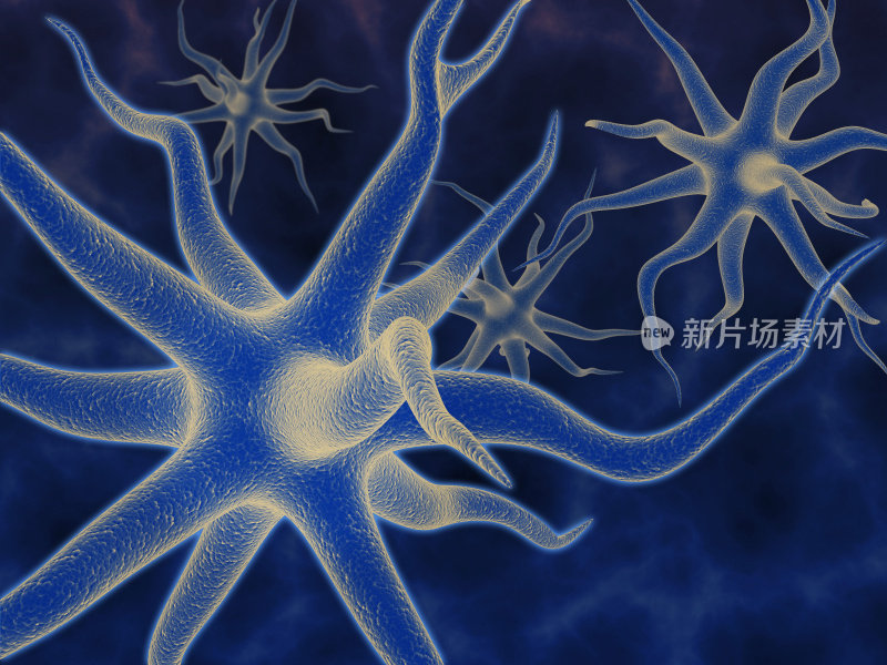 神经元- 3d渲染